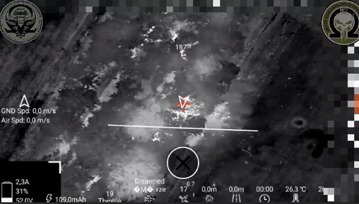 В Запорожской области Силы обороны ударили артиллерией и дронами по лесополосе, которую попытались занять оккупанты (видео)