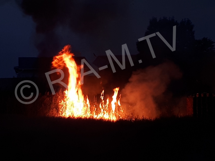 Пожар травы на Невского