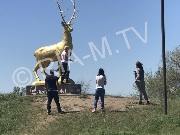 Олень на трассе в Кирилловку