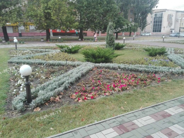 Цветы высадили на площади
