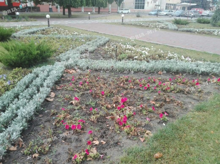 Цветы высадили на площади