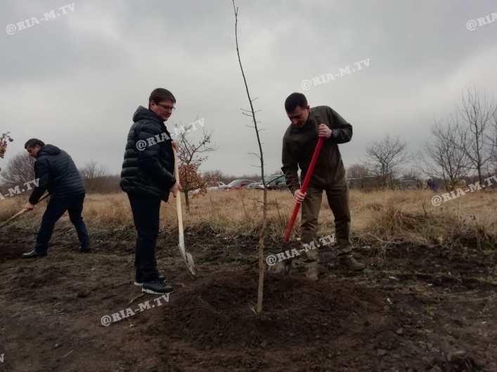 Нардеп Минько сажает деревья