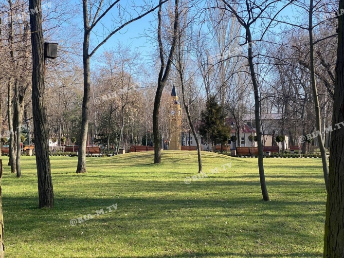 Парк обновление деревьев