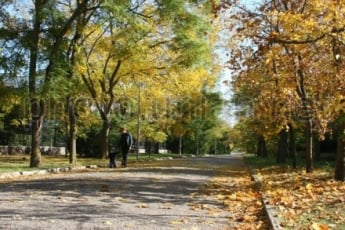Завтра в Україні продовжиться тепла осінь