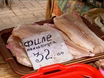 В Мелитополе мороженную рыбу никто не проверяет