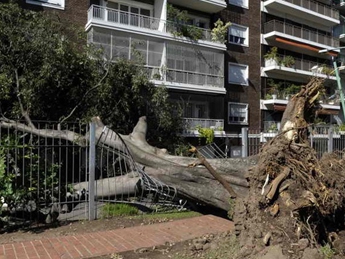 В Аргентине из-за сильнейшего шторма эвакуируют три тысячи человек(видео)