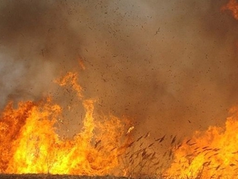В Забайкалье после тушения пожара обнаружен грузовик с 10 погибшими – Минобороны РФ (видео)
