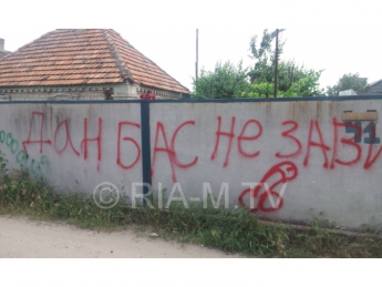 Уличные "художники" добрались до забора у дома активистки Антимайдана