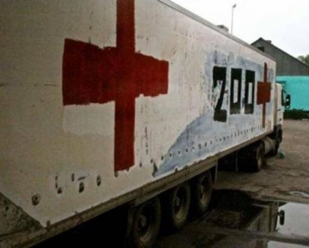 Васильева: 198 военных России погибли под аэропортом Донецка