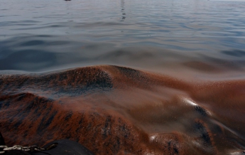 В Черное море разлилась нефть