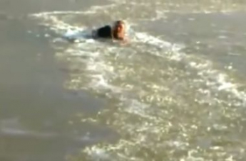 Спасение собаки из замерзшей реки стало хитом Интернета (видео)
