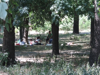 Цыганский табор продолжает "оккупацию" парка (фото)