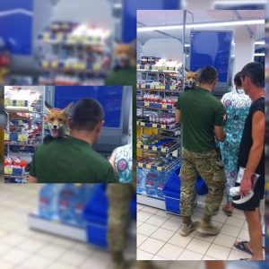 Мужчина пришел в супермаркет с лисой (фото)