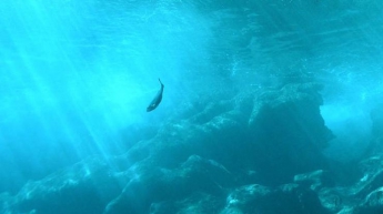 Под водой нашли "адские колокола" (видео)