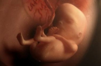 Ученые разработали способ зачатия без участия женщины