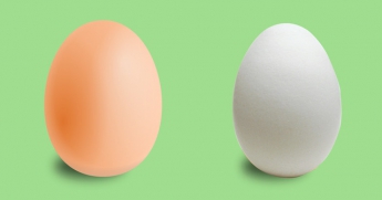 Вот чем в корне отличаются коричневые яйца от белых!