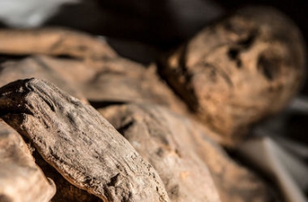 Загадка мумии ребенка: подробности невероятного открытия