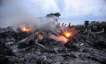 Кость, найденная журналистом в Донбассе, принадлежит жертве MH17