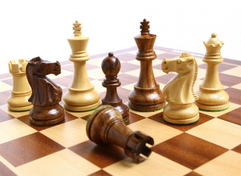 Лучших маленьких шахматистов определил турнир