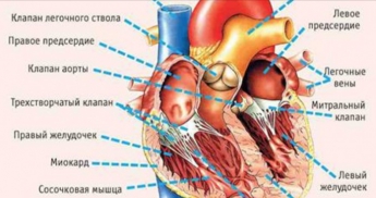 11 симптомов, указывающих на серьезные проблемы с сердцем!
