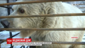 В зоопарк в Васильевке привезли медведицу, брошенную циркачами (видео)