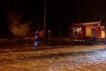 В Запорожье сгорел автомобиль (видео, фото)