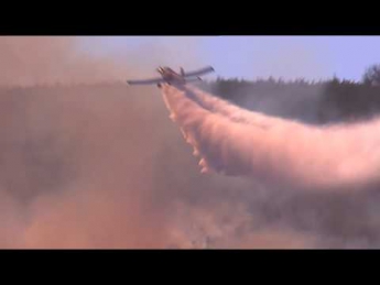 В Новой Зеландии вспыхнули масштабные лесные пожары: видео