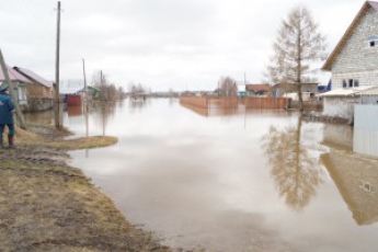 В Терпенье затопило несколько улиц (видео)