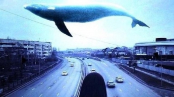 Школьники играют в антипод убийственной игры «Синий кит»