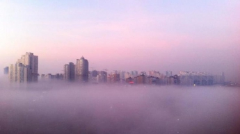 Туман в Киеве: названа причина явления