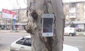 В Мелитополе к дереву прикрутили Айфон (фото)