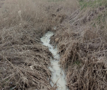 Загрязнение Песчанского ручья стало темой заседания верхушки силовых структур