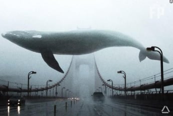 В Запорожской области парень стал жертвой «Синего кита»