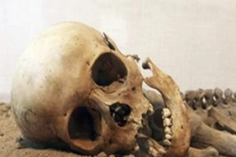 Подростки нашли человеческий скелет (фото)