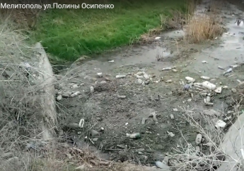 Местные жители забросали ручей мусором (видео)