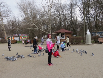 Своя Венеция. Ручные голуби покоряют горожан в парке (видео)