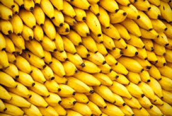 10 фактов о бананах, которые следует знать каждому!