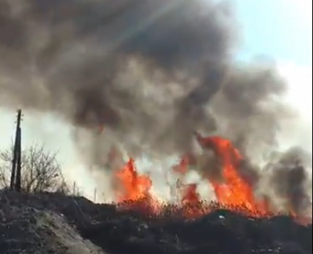 Появилось видео масштабного пожара на окраине города (видео)