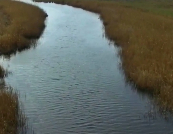 В сети появилось видео Молочной реки, какой мы ее никогда еще не видели (видео)