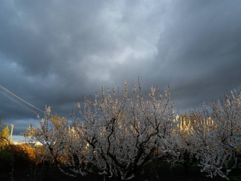 В Вербное воскресенье горожане наблюдали невероятно красивый закат (фото)