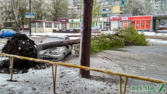 В Запорожье сотни машин прибило упавшими деревьями (фото)