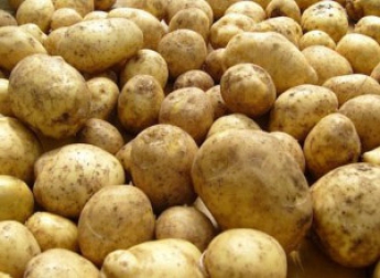 Картофель на рынке бьет рекорды