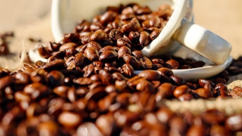 Ученые выяснили безопасную порцию кофе для организма человека