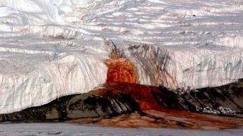 Кровавый водопад в Антарктике: ученые раскрыли его тайну