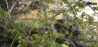 Отдыхающие в Каховском водохранилище плавают в фекалиях (Видео)
