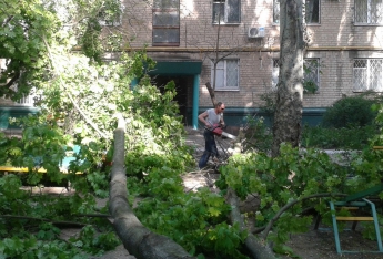 Дерево упало на коляску с младенцем (видео)