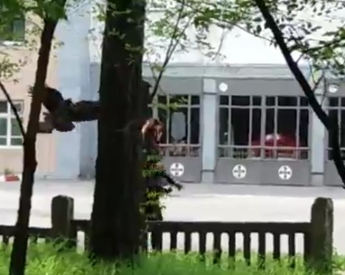 В Мелитополе ворон нападет на людей (видео)
