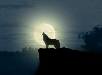 В ночь на 11 мая будет полнолуние Волка. Не пропустите важный вечер перед этим явлением!