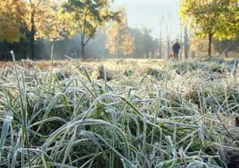 В Украину идет сильное похолодание, ожидаются заморозки