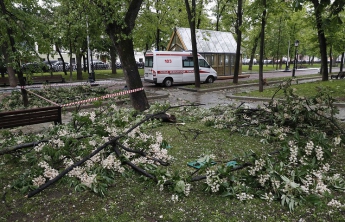 Ураган в Москве: есть погибшие, выезд из резиденции Медведева заблокирован (фото, видео)